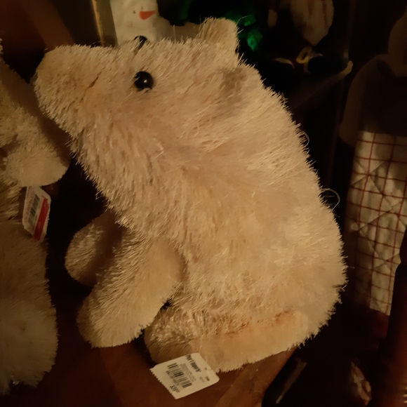 Polar bears - Picture 4 of 10